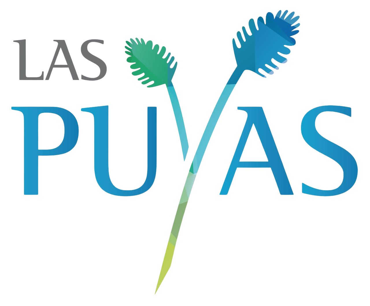 Las Puyas